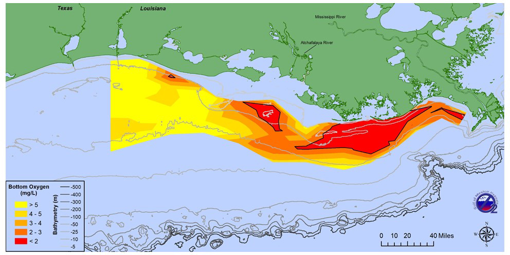 hypoxia survey cruise chart showing bottom oxygen (click to view larger image)