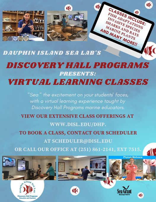 Discovery Hall Virtual Classes Flyer
