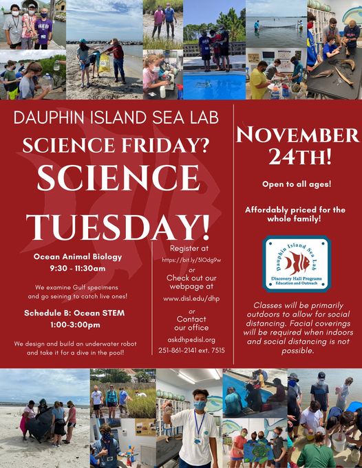 Discovery Hall Science Friday