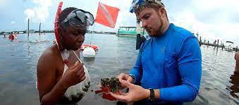 Instructor showing findings to student